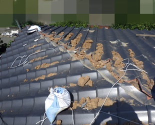 熊本地震の被害状況